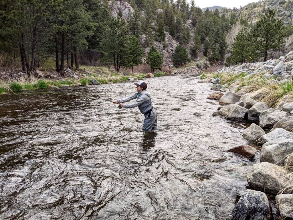 fly fishing in the Big Thompson River in Loveland CO