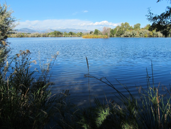 One of the ponds from River's Edge Natural Area