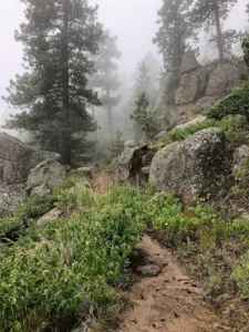 Round Mountain Trail on a foggy afternoon.