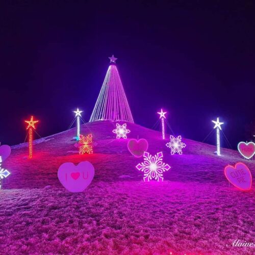 Valentine Lights on a hill