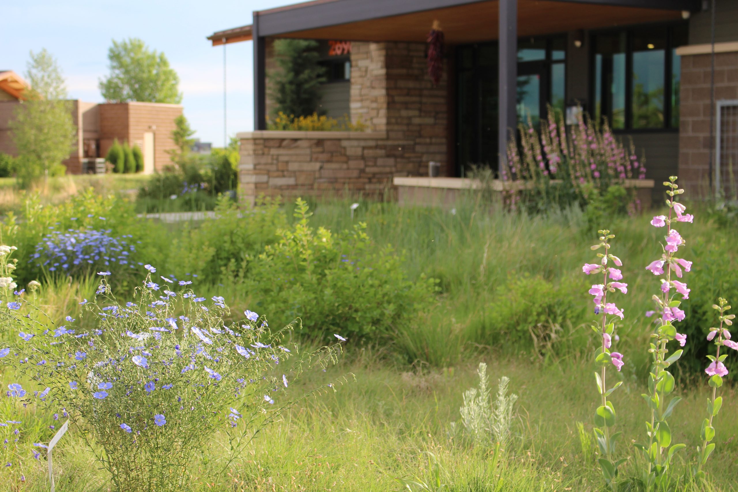 High Plains Environmental Center Visit Loveland, CO