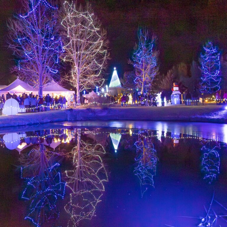 Holiday lights reflect off of a pond at Loveland winter wonderlights.