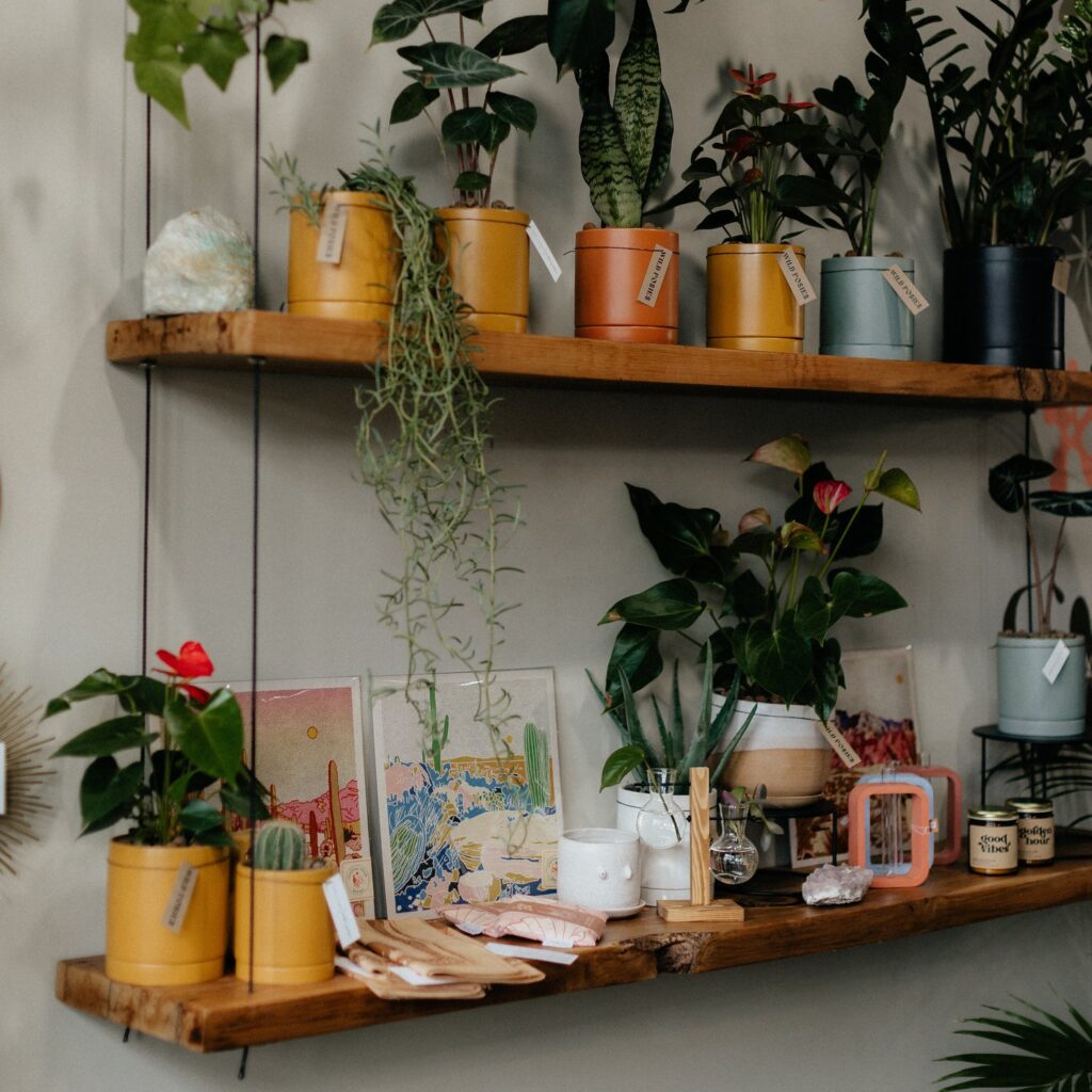 Plants on a shelf at Wild Posies in Loveland