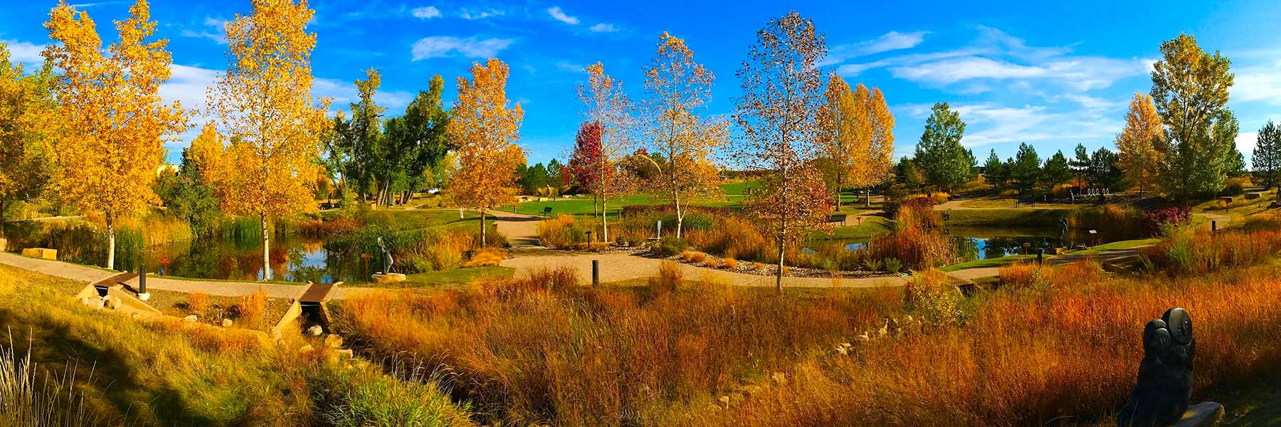 Chapungu Sculpture Park in Loveland, Colorado