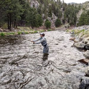 fly fishing in the Big Thompson River in Loveland CO